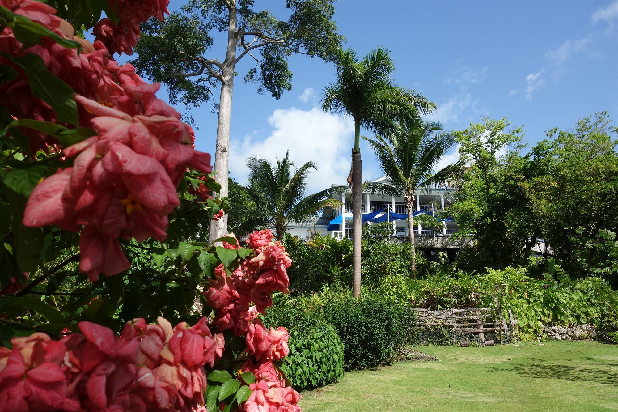 Hotel Mockingbird Hill Port Antonio Exterior photo